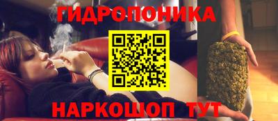 spice Краснокаменск