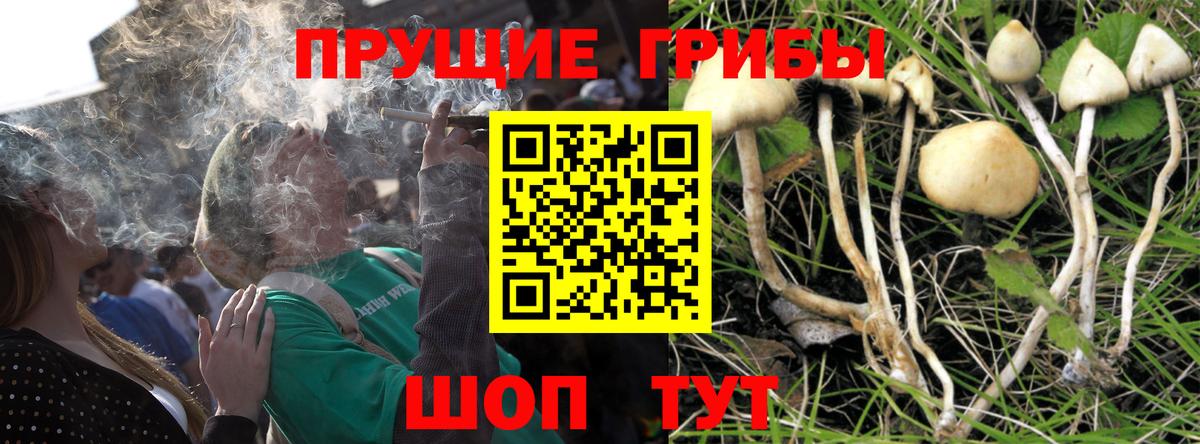 Метадон  Бошки Шишки  Вход с VPN  COCAIN  Кандалакша  Меф  МЕФ кристаллы  ГАШ 