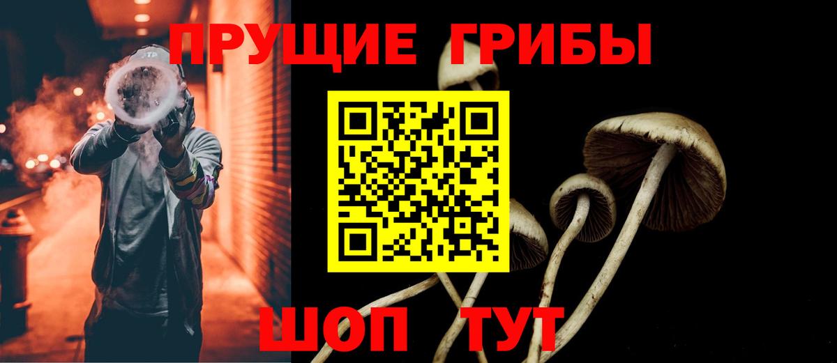 Галлюциногенные грибы Psilocybe  Вход с VPN  Кандалакша 